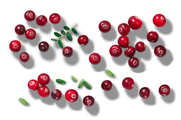 Cranberries Vaccinium oxycoccus top view isolated png