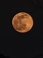 full moon in color