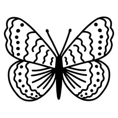 Hand drawn doodle butterfly. Vector sketch illustration, black outline art of insect for web design, icon, print, coloring page