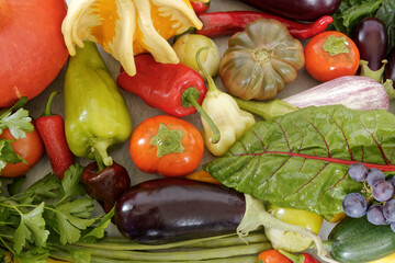 Variety of organic vegetables from own home garden. Home-grown harvest food.