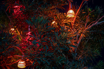 close-up of bright lights on a tree