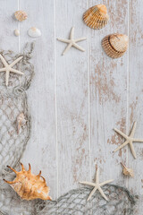 Seashells and starfish on a white wooden background