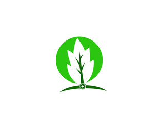 root health care logo