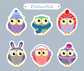 Cute Christmas owls stickers in flat style. Vector illustration for kids