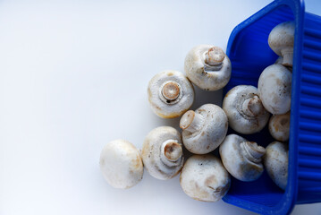 Dumped porcini mushrooms. A bunch of champignons collapsed from the packaging. Scattered mushrooms on a white background.
