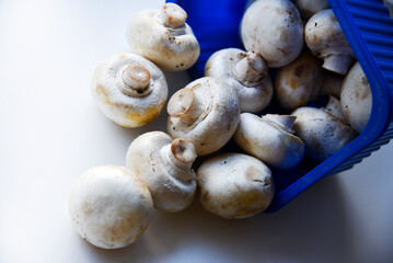 Dumped porcini mushrooms. A bunch of champignons collapsed from the packaging. Scattered mushrooms on a white background.