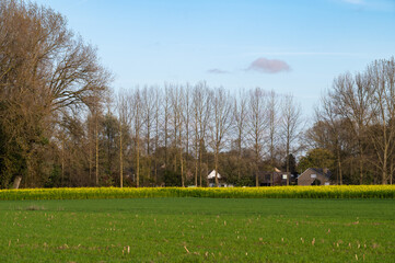 Fototapeta na wymiar Green meadows and autumn trees at the Flemish countryside around Gijzegem, Belgium