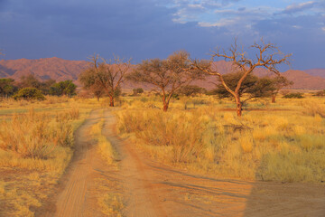 African landscape, savannah during beautiful sunset. Solitaire, Namibia.