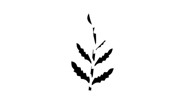 african water fern glyph icon animation