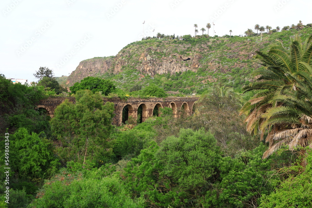 Wall mural view in the canary botanic garden viera y clavijo in the north of gran canaria