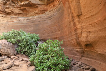 View in the Cow Gorge in center of Gran Canaria