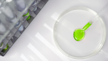 Close up shot of Petri dish with pipette.