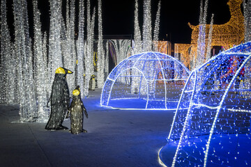 A pair of penguins admires their home in a winter wonderland made up of Christmas lights at the...
