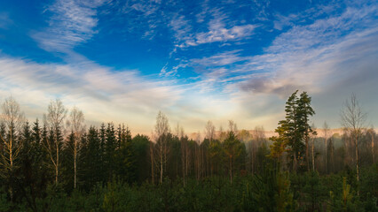 Landscape view from hill to forest with morning light. nature background