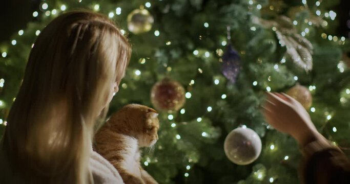 The family decorates the Christmas tree - a woman with a cat in her hands watches as a child hangs decorations on a branch