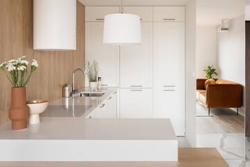 Small and modern white kitchen - 549811350