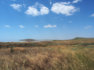 Landscape, a salt lake illuminated by the sun against a clear, cloudless sky. Wildlife, the concept...