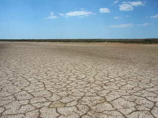 The landscape, the dried-up shore of a salt lake cracked under the rays of the scorching sun. Wildlife, the concept of tourism, recreation and travel.