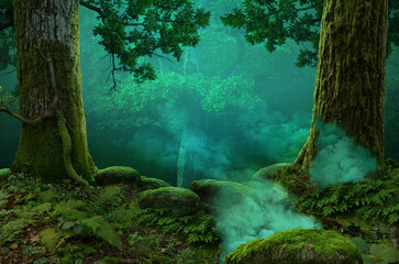 Druid forest. Ancient pagan forest, old oak trees, sacred smoke ritual, mossy stones
