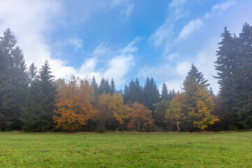 Fototapeta premium Herbstliche Entdeckungstour durch den Thüringer Wald bei Steinbach-Hallenberg - Thüringen