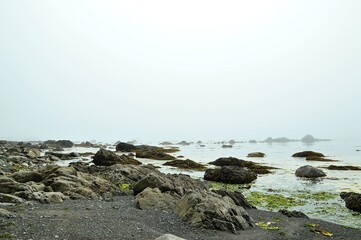 Fototapeta na wymiar rocks on the beach with Fog