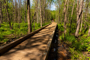 Obraz premium St. Peter's Dome State Natural Area