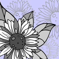 pattern with large white-gray graphic sunflower flowers on a blue background, postcard, background