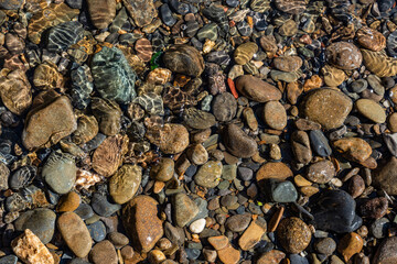 stones in water