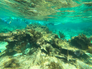 Fototapeta na wymiar Group of people snorkeling near sunken ship under the sea. Beautifiul underwater colorful coral reef at Caribbean Sea at Honeymoon Beach on St. Thomas, USVI - travel concept