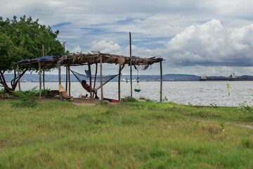 palm grove on the shore of the beach with fisherwoman resting in hammock, isla de bocachica, cartagena,colombia