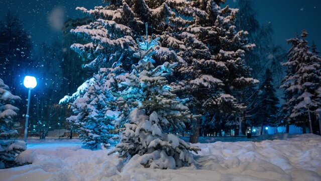 Winter landscape with snowfall, Christmas winter beautiful landscape, cinemagraph, video loop, beautiful soft snowfall