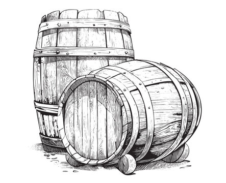 Wooden barrels of wine vintage sketch hand drawn engraved style Vector illustration