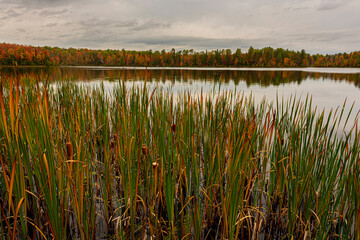 Northwoods Fall Color