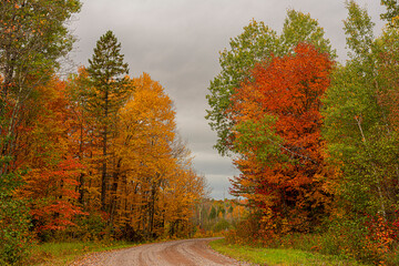 Northwoods Fall Color