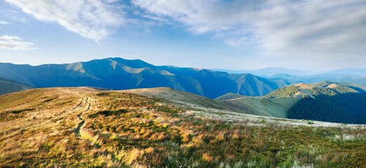 Summer morning mountain landscape with green forest on slope (Ukraine, Carpathian Mountains).