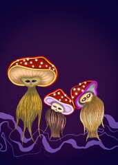 funguys in the night