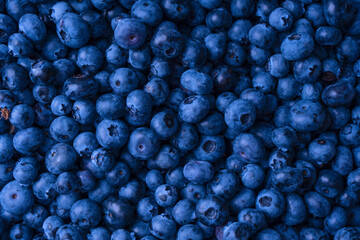 Fresh blueberry background. Texture blueberry berries close up.