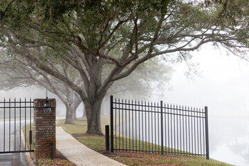 Winter in Florida