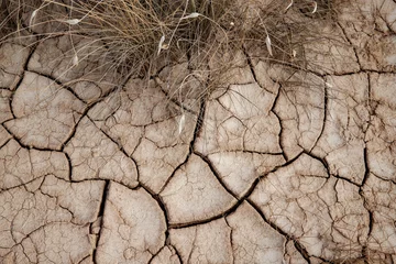 Meubelstickers nature climate change drought © Alice_D