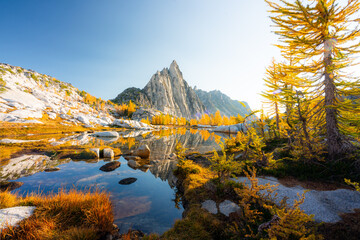 Fall reflections © Jose