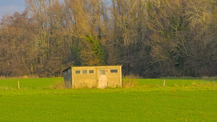Obraz premium Old shed in a meadow in Oude Kale nature reserve, Flanders, Belgium 