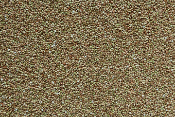 Organic Green buckwheat. Dried grains, top view. Healthy eating, natural background