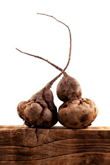 Two Deformed ugly beetroot. Ugly vegetables abnormal shape, selective focus. Concept - Food waste...