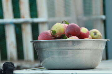 apples in a bowl