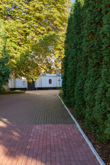 Pathway in the orthodox church garden with coniferous trees