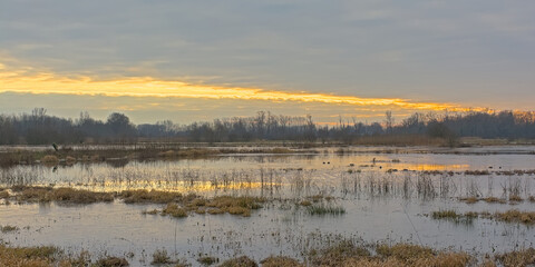 Colorful winter evening sky over the marsh with reflection of sunlight in the water in Bourgoyen nature reserve, Ghent, Flanders, Belgium