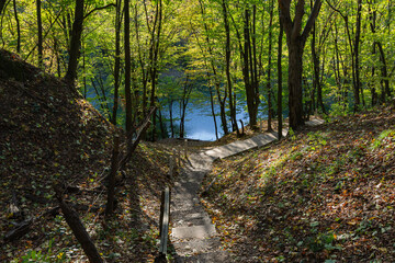Path to the lake at the autumn forest