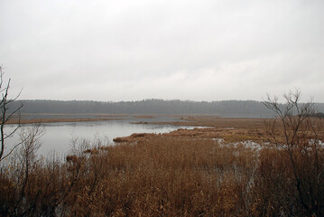 Autumn landscape on the lake. Autumn day. Flat water surface without waves. Bushes and trees with yellow and brown foliage grow along the shores of the lake. From above the gray cloudy sky.