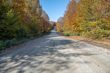 Beautiful autumn views from Ulugol(Golkoy) Nature Park, Ordu, Turkey