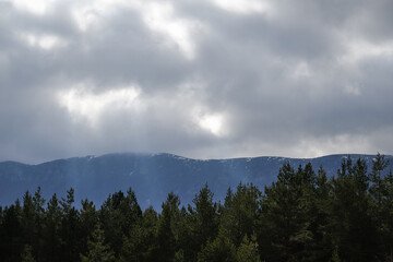 Sunrays falling between the pine tree forest and snow covered mountains through the murky clouds - 549836754